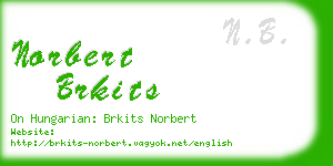 norbert brkits business card